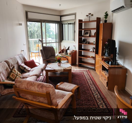 סלון עם ספות, שטיח ורהיטים מעץ